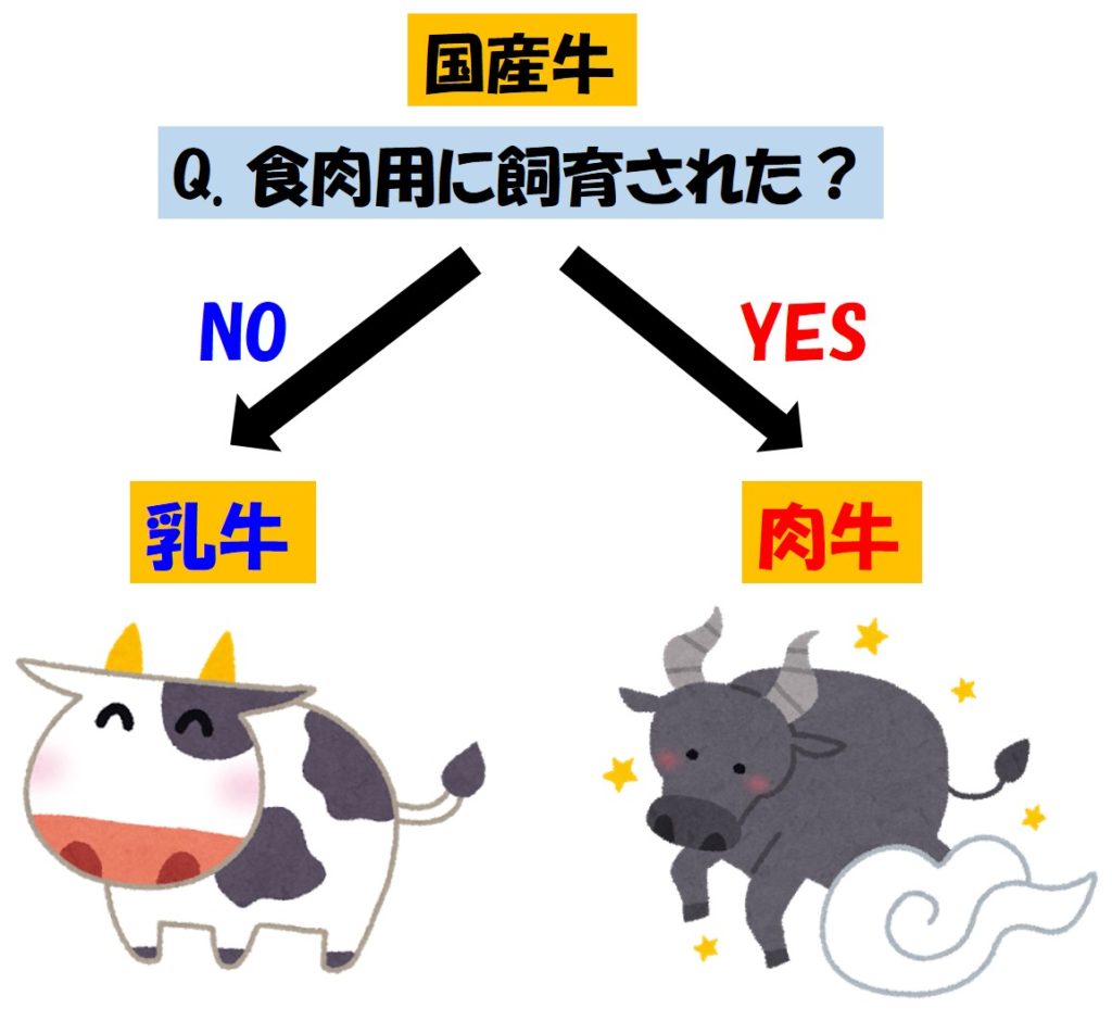 乳牛と肉牛の違い