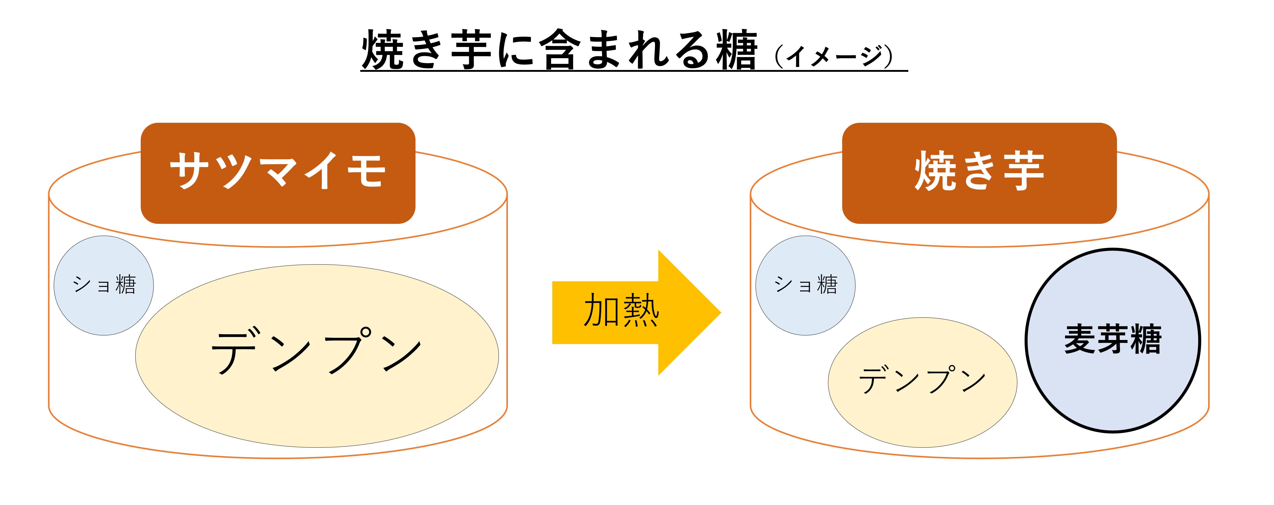 焼き芋はなぜ甘い 甘さの理由と麦芽糖生成のメカニズム 味覚ステーション 焼き芋はなぜ甘い 甘さの理由と麦芽糖生成のメカニズム 味覚ステーション
